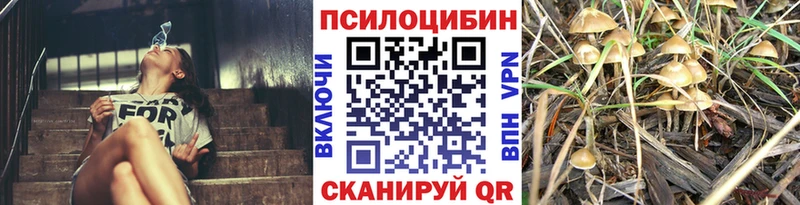 ОМГ ОМГ зеркало  Нелидово  Псилоцибиновые грибы мицелий 