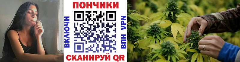 blacksprut зеркало  купить наркоту  Нелидово  Шишки марихуана план 